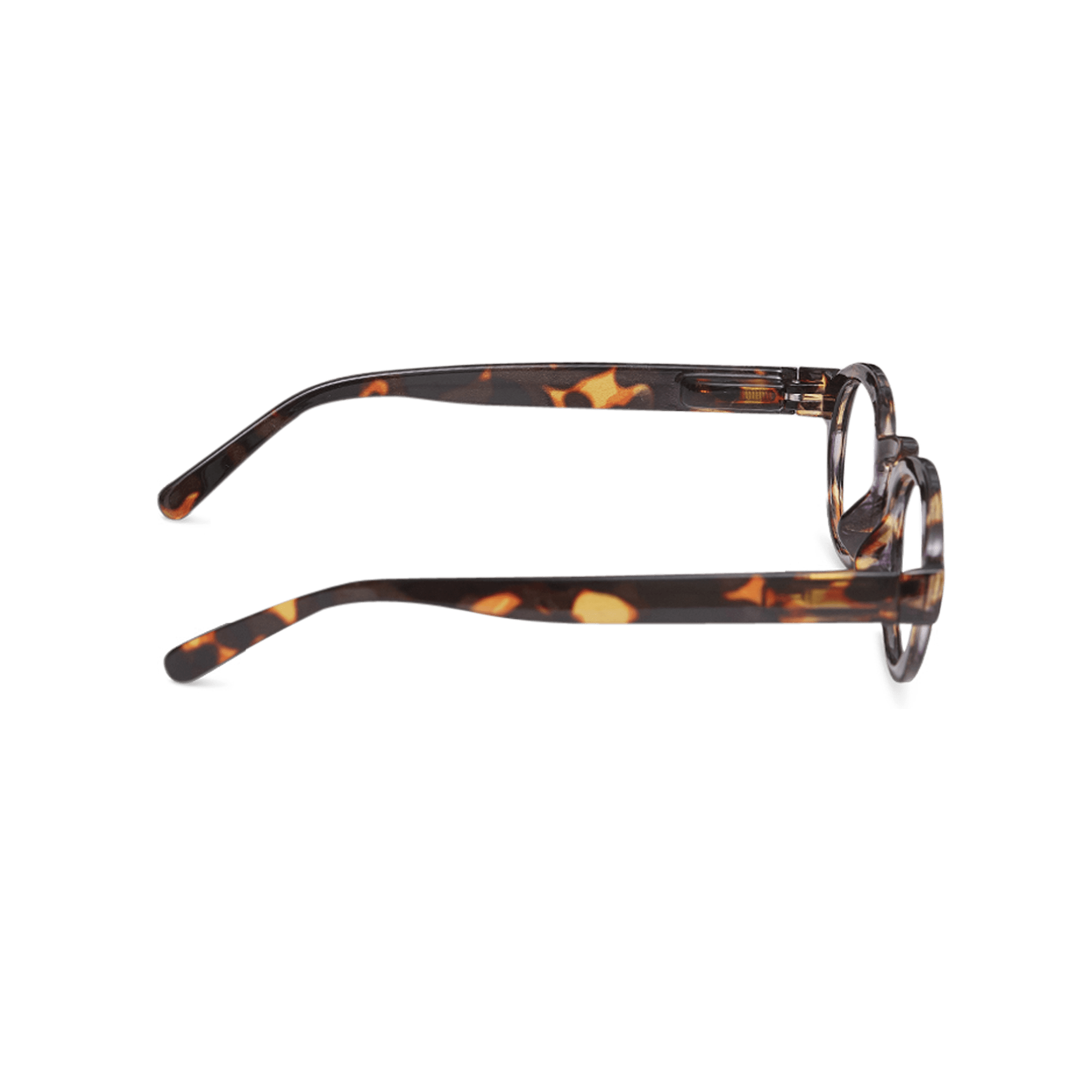 Clear lens glasses Circle Twist - tortoise