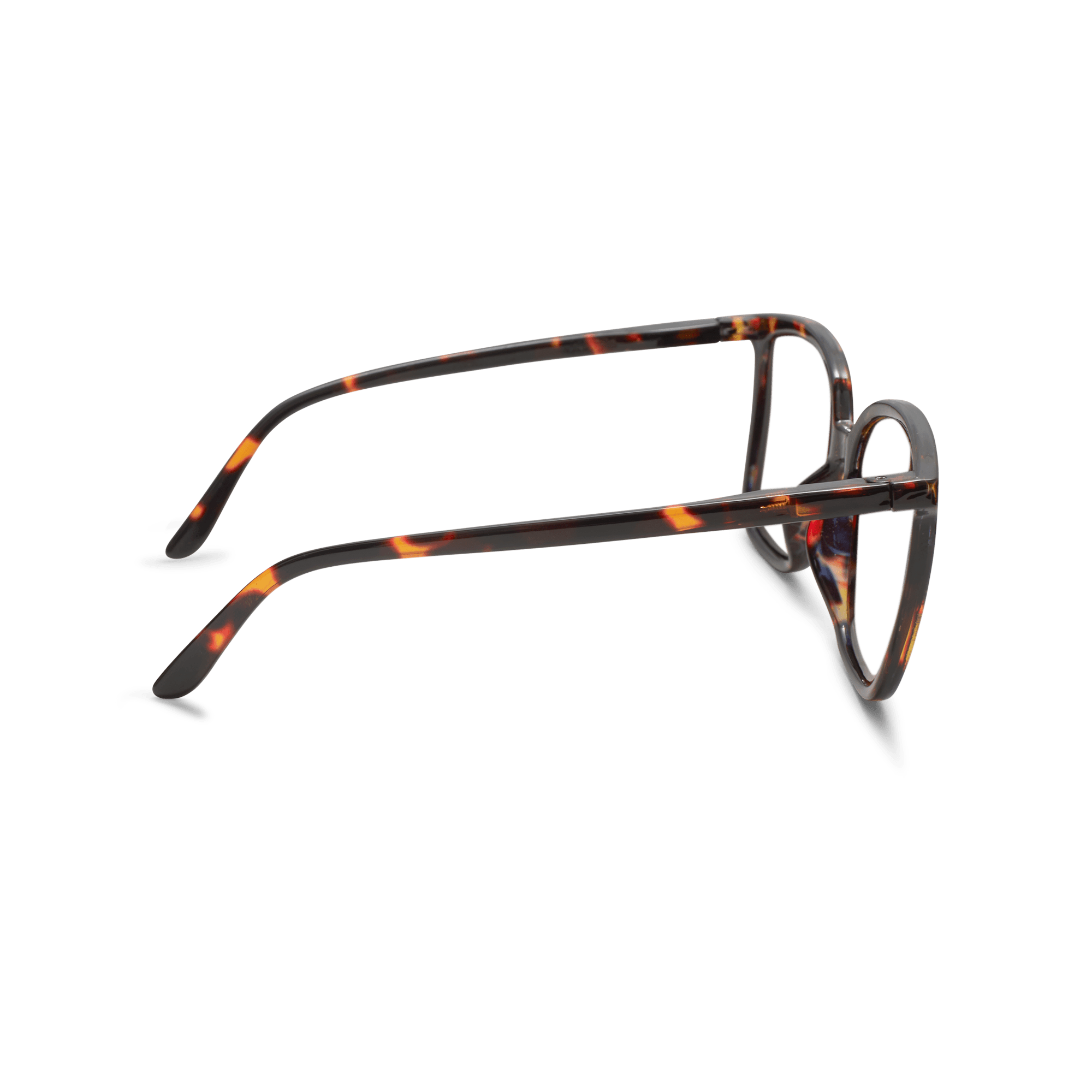 Reading glasses Nymph - tortoise