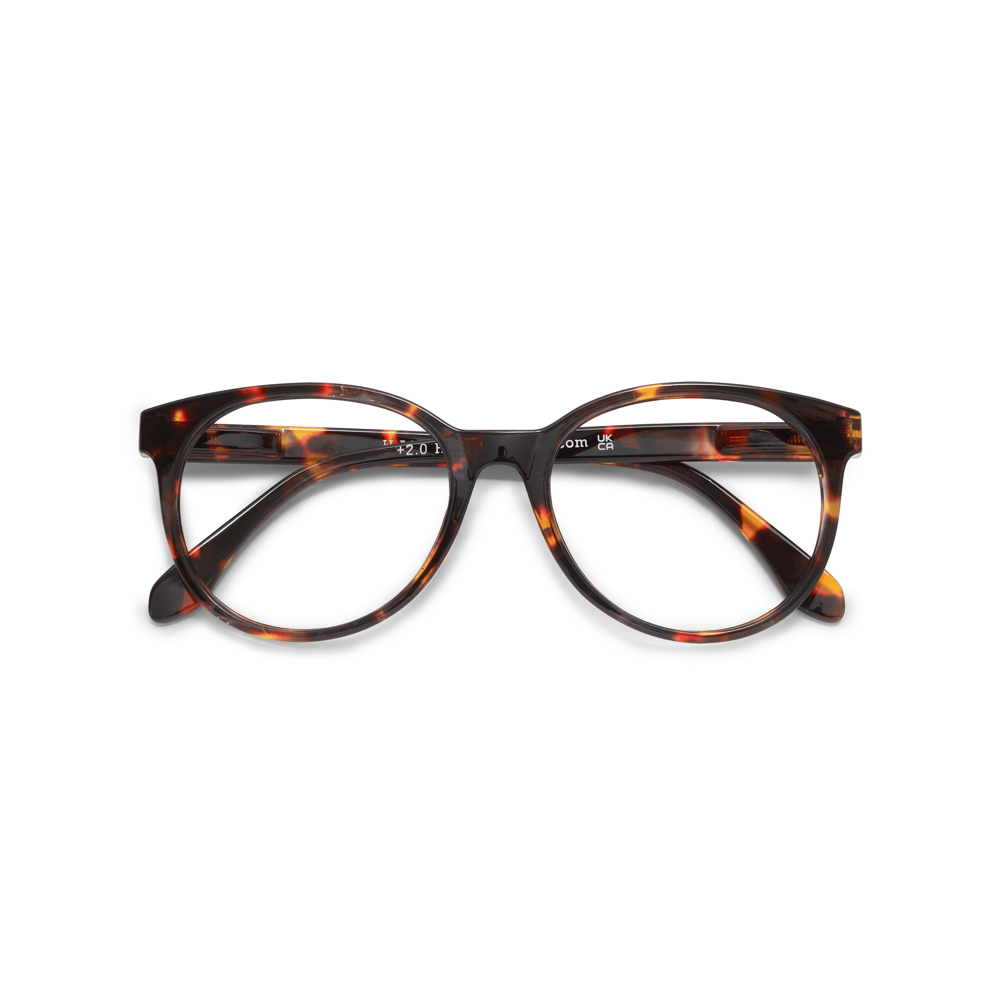 Clear lens glasses City - tortoise